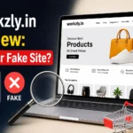 Workzly.in Review: Real or Fake Site?